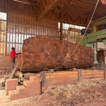 Carico di tronco da 17/18 TON